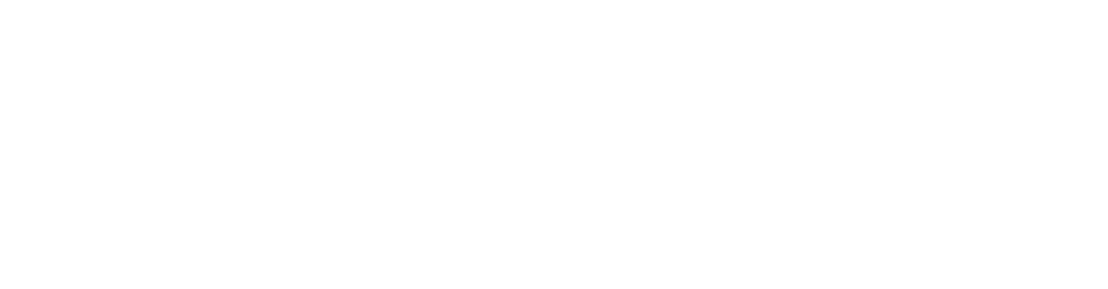 Turvo